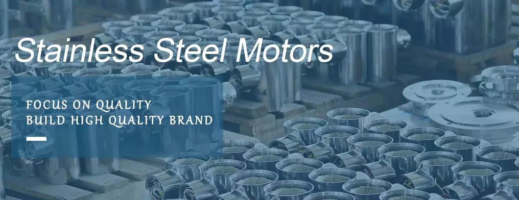 Tefc Stainless Steel NEMA Washdown Electric Motor for Food Processing Plant