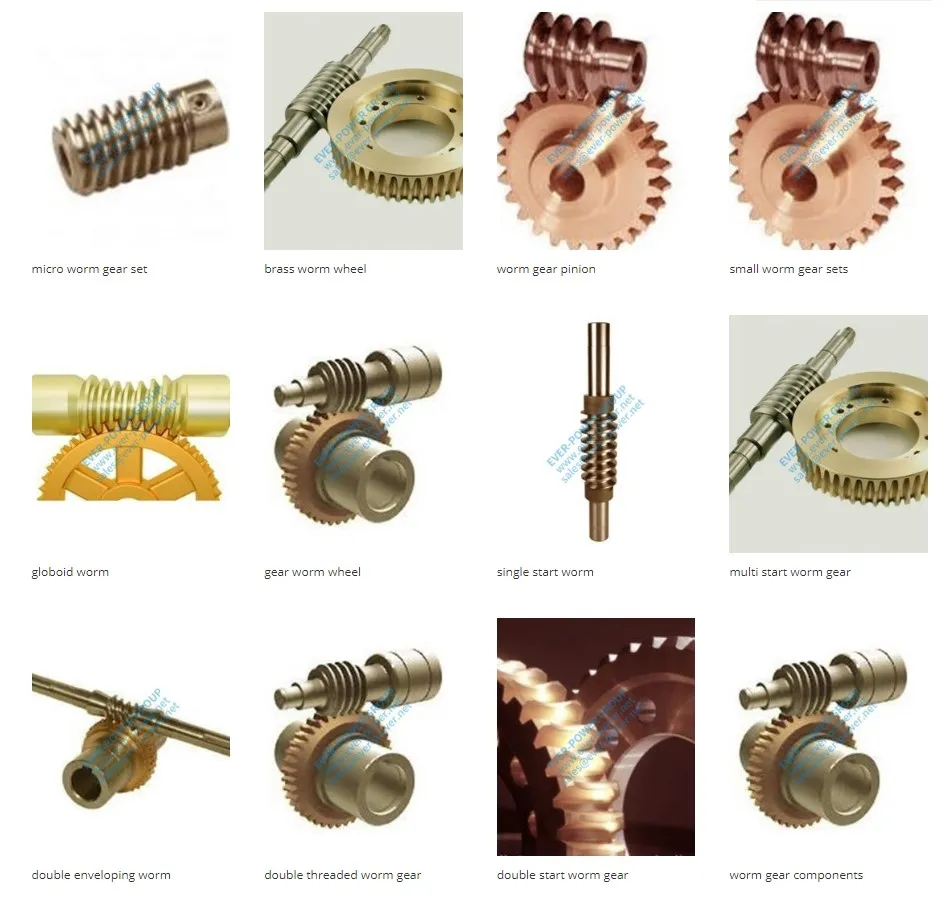 Normal Parallel Circular Transverse Pitch Double Crossed Single Spline Pinion Internal Spiral Hypoid Crown External Vs Internal Helical Gears
