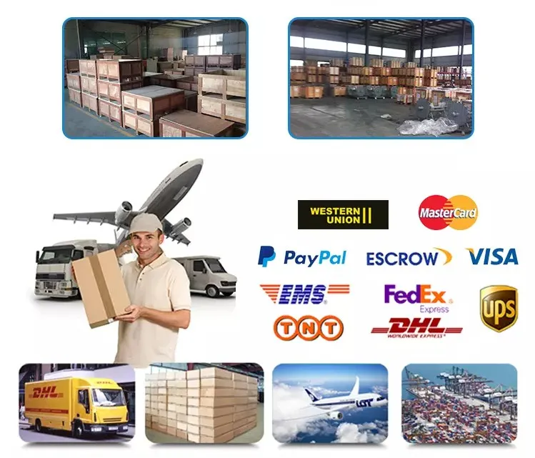 Pan Conveyor Chains