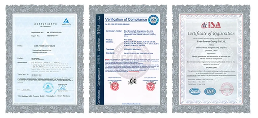 Nmrv-Vs Dual Input Worm Gearbox with IEC Motor Flange