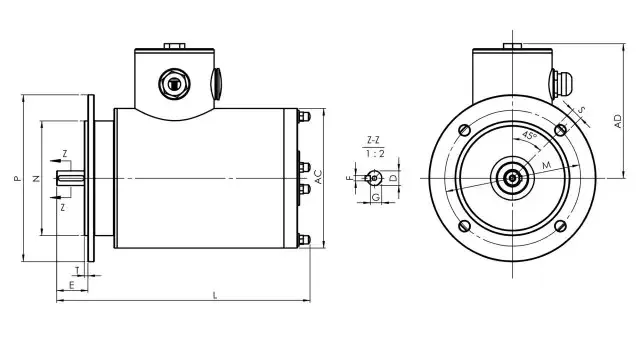 IEC Flange Mounted Stainless Steel Motor -Tenv for Food Processing Plant