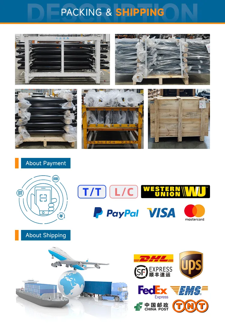 Aerial Work Platform Telescopic Excavator Boom Crawler Truck Crane Vehicle Forklift Hydraulic Cylinder for Steering Lifting Tilt Luffing Upper Leveling