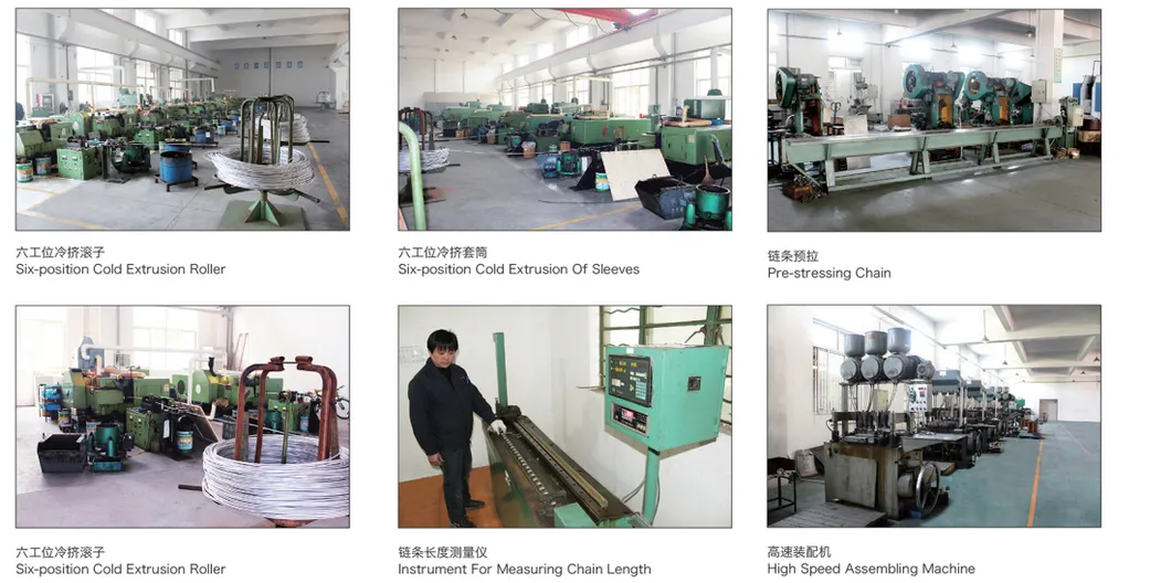 Stainless Steel Roller Conveyor Drive Leaf Chain for Wastewater Cold Drink Food Processing Packaging Industry Agricultural with Sprocket