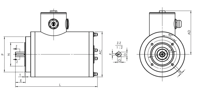 IEC Face Mounted Stainless Steel Motor -Tenv for Food Processing Plant