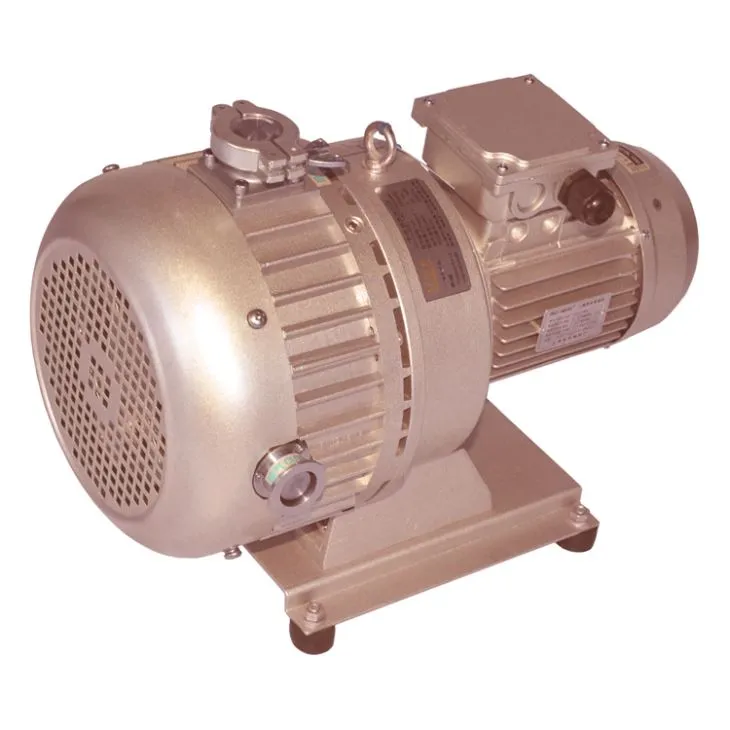 Piston Vacuum Pump Air Rotary Oil Water Rotary Dry Portable Mini Scroll Reciprocating Diaphragm Centrifugal Positive Displacement DC AC Vacuum Pumps