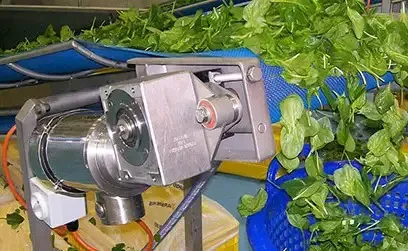 Tefc NEMA Stainless Steel Motor for Food Processing Plant