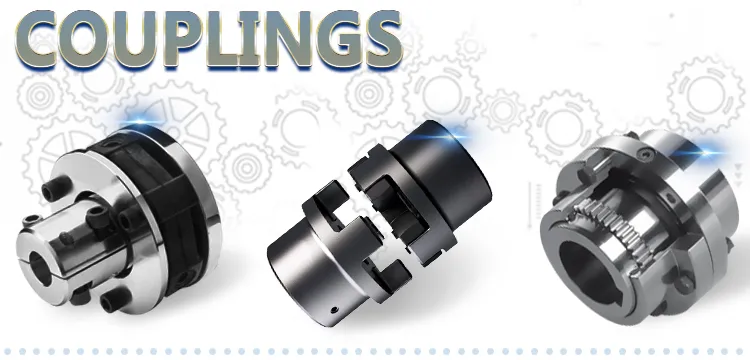 Chain and Sprocket Chain Coupling