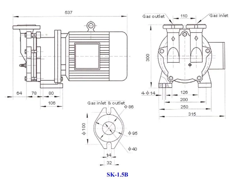 Liquid-Ring Vacuum Pump Air Rotary Oil Water Piston Dry Portable Mini Scroll Reciprocating Diaphragm Centrifugal Positive Displacement DC AC Vacuum Pump