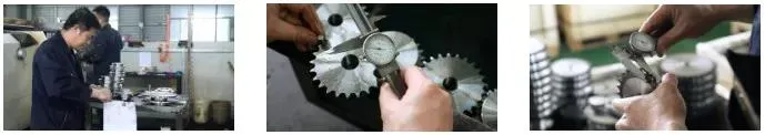 Latest Design Bucket Elevator Chain and Sprocket in Steel and Stainless Steel
