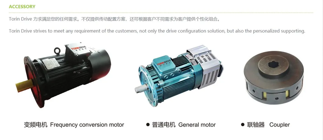 High Efficiency Frequency Conversion Motor Servo Brushless Gate Valve Worm Reduction Unit Center Dictance Freight Elevators and Scissor Lift Platform