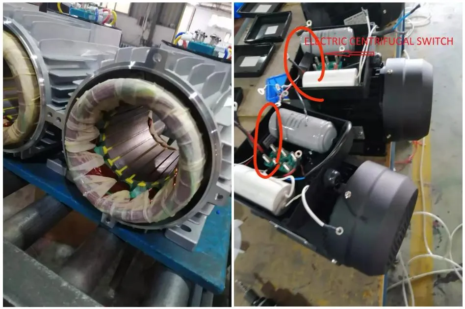 Ml Series High-Efficiency Low Noise Single Phase Dual-Capacitor Induction Motor with Running and Starting Capacitor