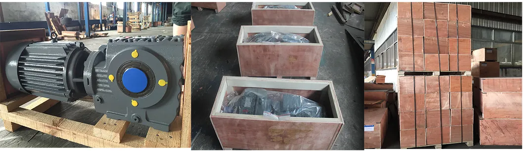 Cycloidal Gearbox