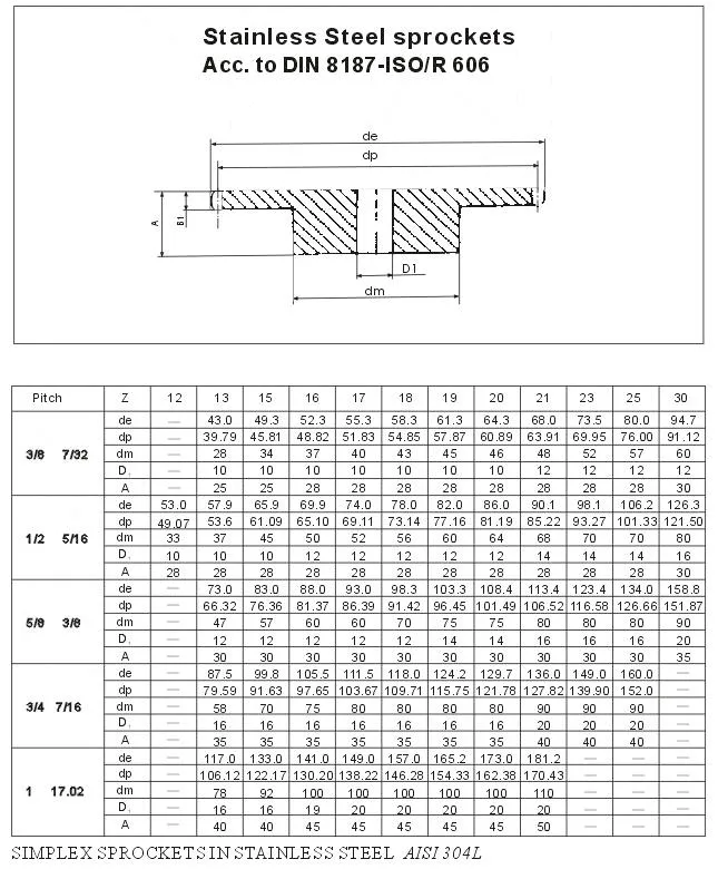 European Standard Stainless Steel Sprocket