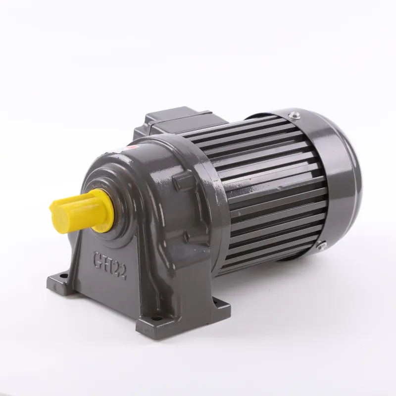 Explosion-Proof High Torque Motor