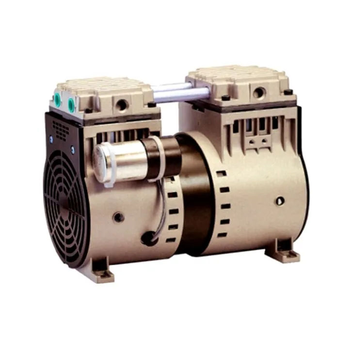 Portable DC AC Vacuum Pumps