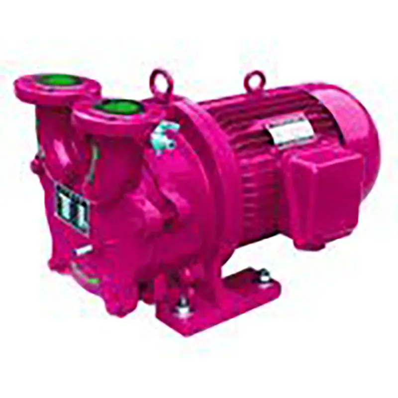 Electric Vacuum Pump