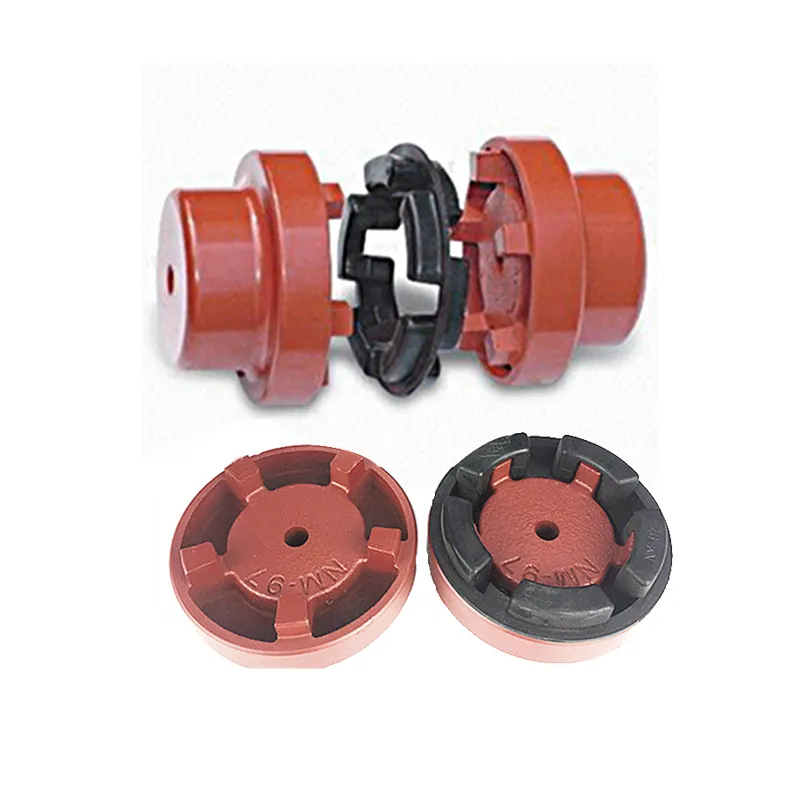 Flexible Nm Coupling for Pump Motor