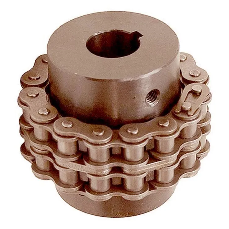 Flexible Stainless Steel Roller Chain Coupling