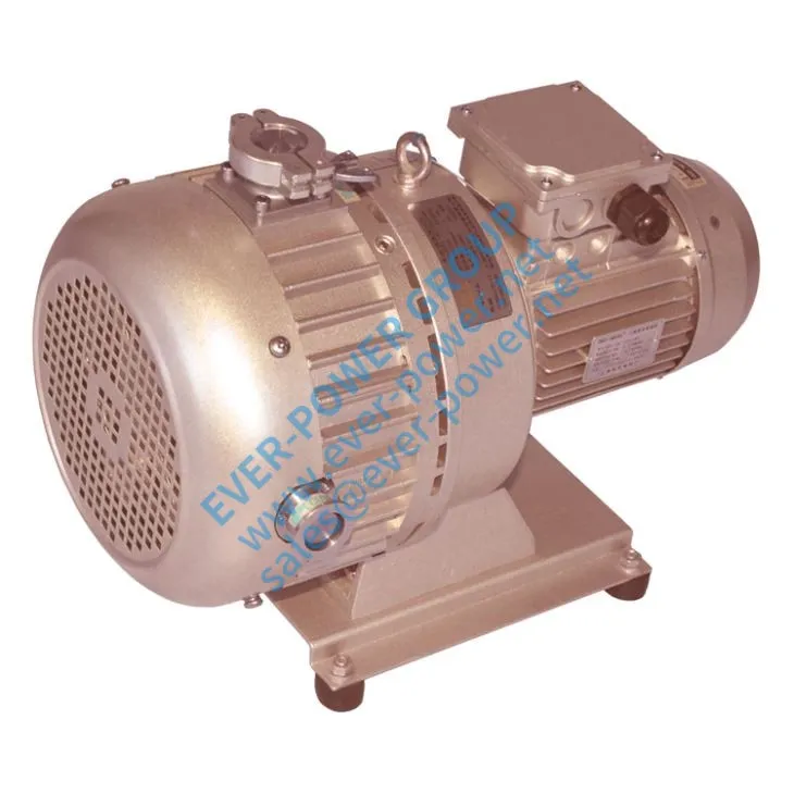 Portable Industrial Vacuum Pump
