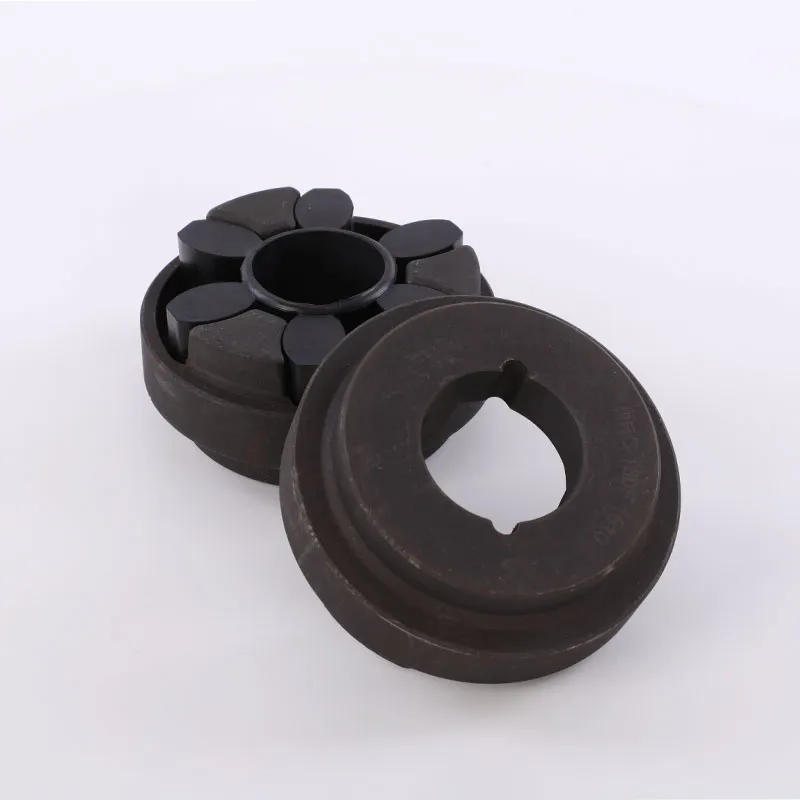 Taper Bore Cast Iron Water Pump Shaft Coupling