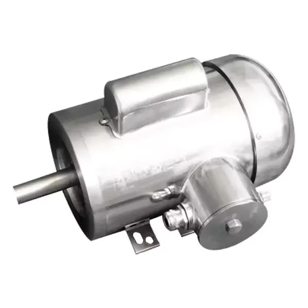 Stainless Steel Washdown Motor